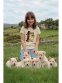 PALLEIRO CAMISETA INFANTIL